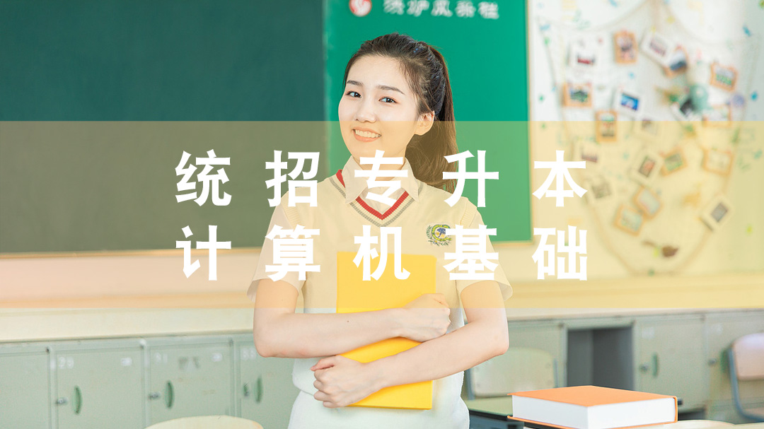 NEW统招专升本-计算机基础